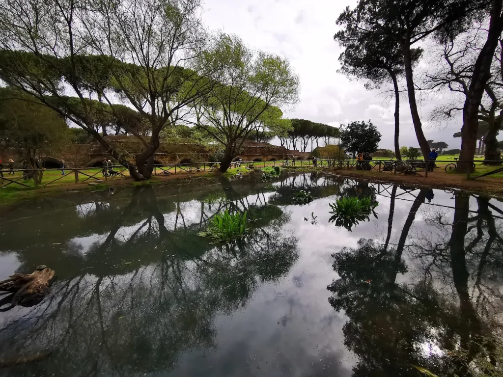 Reflection pond and umbrella pines at Parco degli Acquedotti in Rome, surrounded by greenery and peaceful nature